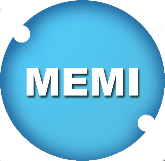 MEMI IT